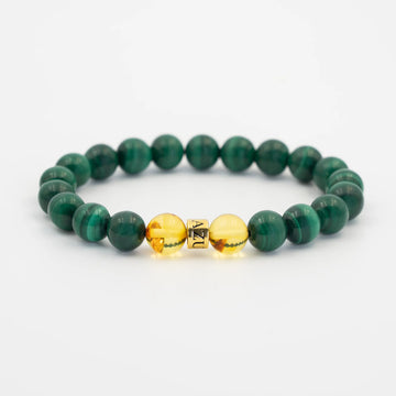 Malachite & Piebald Amber Bracelet — Grounded Renewal ( 8mm )